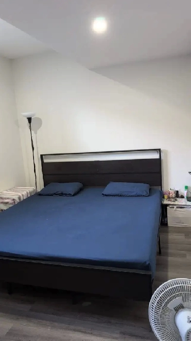 Basement For Rent - Chapelle SW Edmonton Image# 3