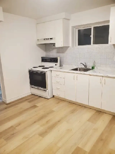 Bright Spacious Basement Apartment Available Image# 1