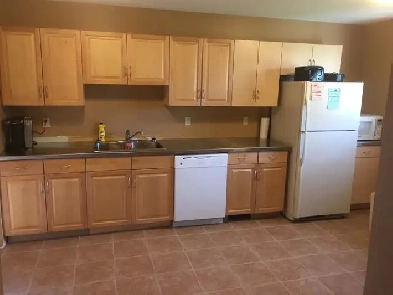 Attention Students 1 Room For Rent Close To LU Image# 8
