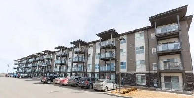 Parliament Rentals - 2 Bed 1.5 Bath Apartment for Rent Image# 2