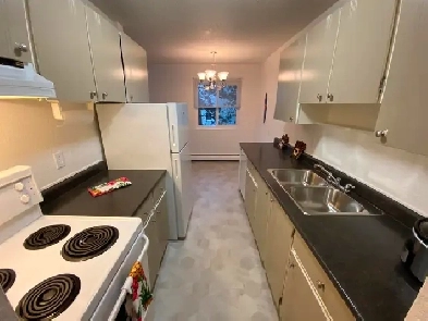 2 Bedroom Apartment for Rent - 1500 Boundary Crescent Image# 6