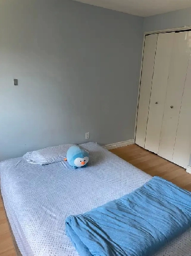 Room for Rent Image# 1