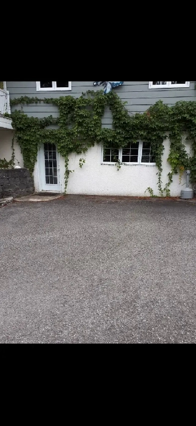 Local à louer Image# 1