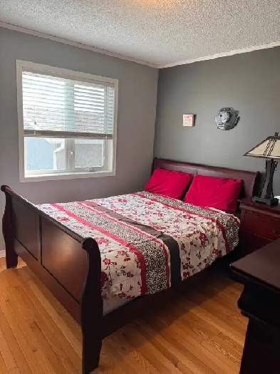 One Bedroom One Bath Furnished Room Rental Available Immediately Image# 1