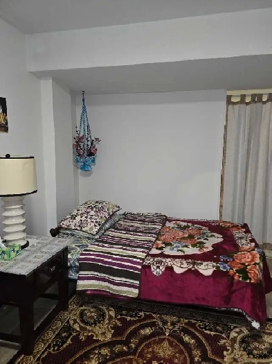 Furnished Basement Apt McCowan/Eglinton Image# 1