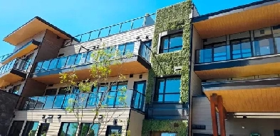 One-bedroom, Brand-new Lunch Condo Image# 9