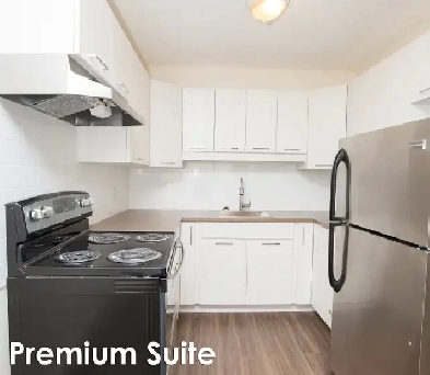 Studio Premium - 10012 107 Ave. Renovated Suite Image# 7