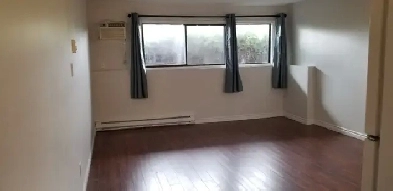 COZY - QUIET - PET FRIENDLY Image# 3