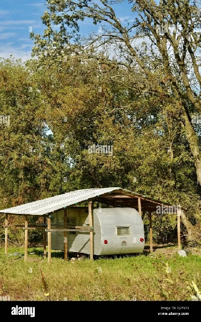 Looking for place to live asap Image# 1