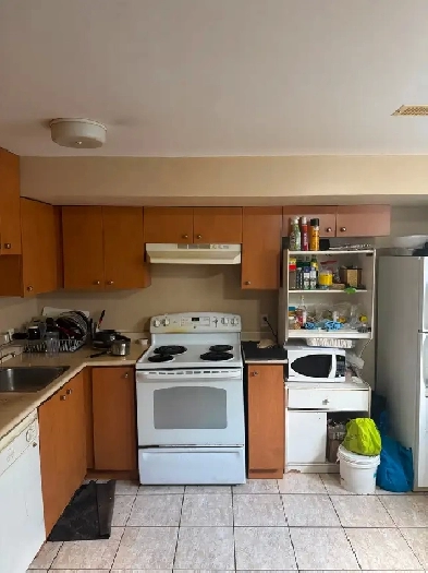 Basemaent For Rent near York University Image# 1