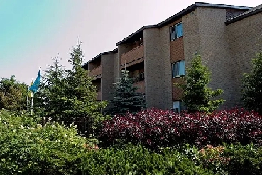 Apartment for Rent: 2 Bedroom A - Bayridge Court Apartments Image# 4