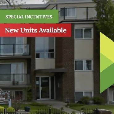 Pioneer Apartments - 1 Bedroom Apartment for Rent Image# 7