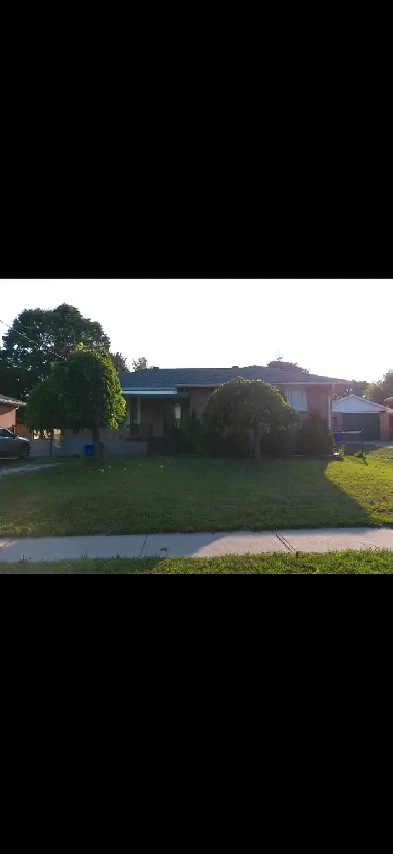 3 bed 1 bath detatched bungalow oshawa Image# 5
