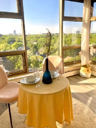 1 Bedroom Condo Centre/Dalhousie Image# 4