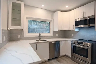 3 BEDROOM Renovated Home In The Heart of Downtown Kitchener Image# 6