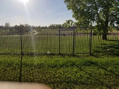 Basement Suite for Rent Image# 1