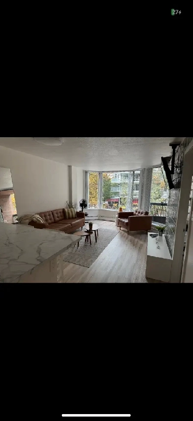 Furnished Bright Modern Downtown Apartment Image# 1