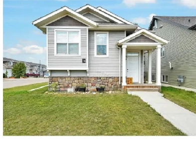 Basement for rent Image# 1