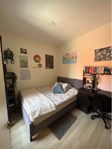 sublet/lease transfer close to McGill University 2026 Image# 1