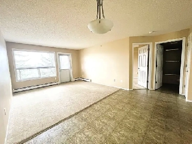 CLAREVIEW Pet Friendly 1-Bedroom Condo (quiet, top floor suite) Image# 1