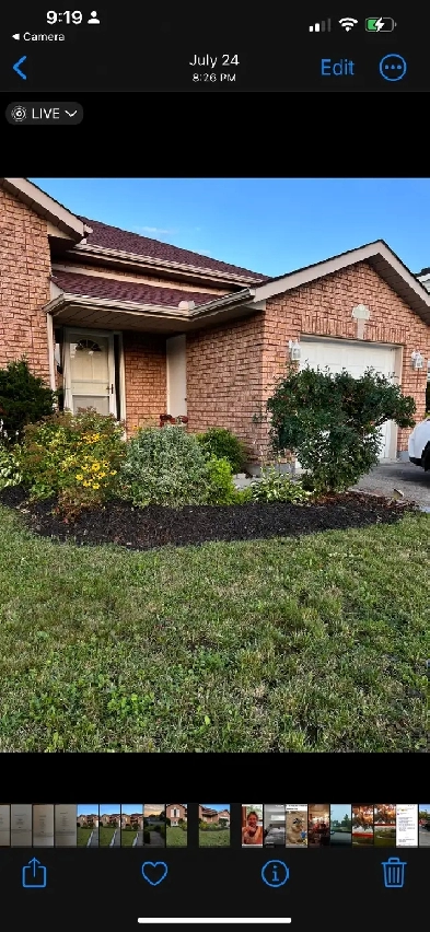 Room for rent in lovely home Image# 1