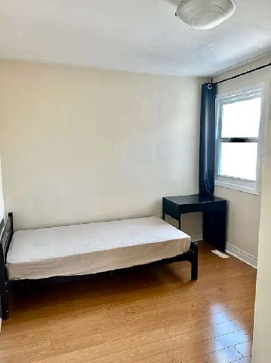 Bright, Newly Renovated Bedroom with Parking for Rent Image# 1