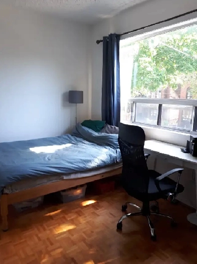 Large private Room with Private Bathroon near UofT Image# 1