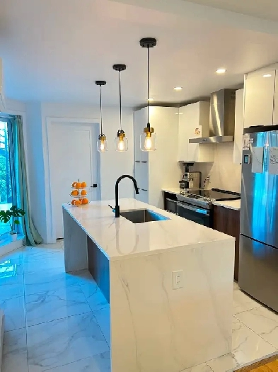 4 ½ rénové – Metro vert - Ville Marie – 1 mois gratuit - octobre Image# 1