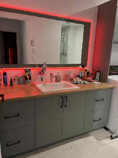 logement 5 1/2 Image# 1