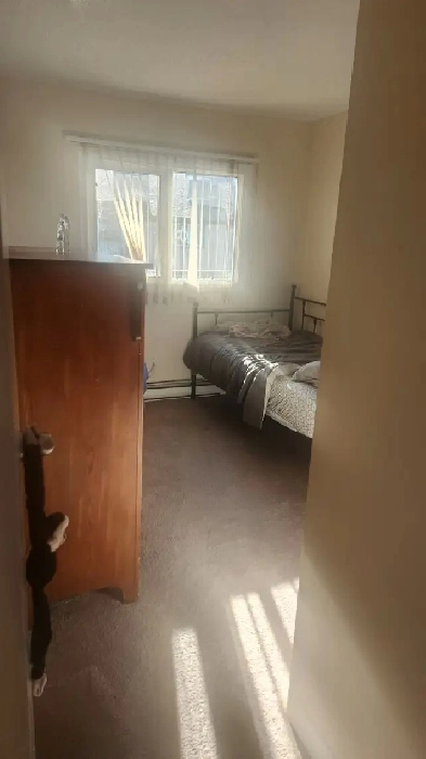 Room For Rent $500 Image# 1