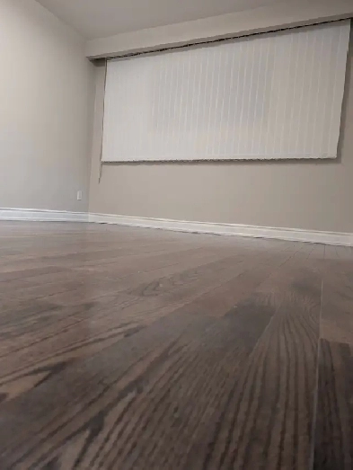 Sheppard/Victoria Park 3BR nice house main floor for rent Image# 1