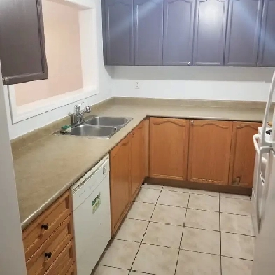 Full house for rent in family friendly neighborhood close to TTC Image# 1