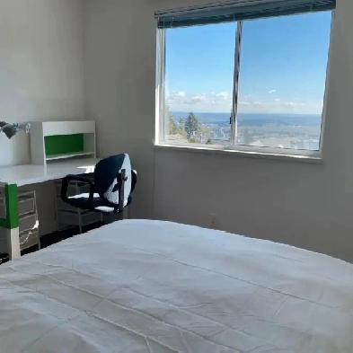 1 bedroom for Rent Image# 9