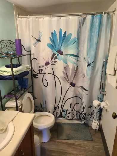 Roommate Wanted Image# 7