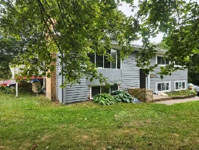 Bright, spacious & renovated family home for rent Image# 1