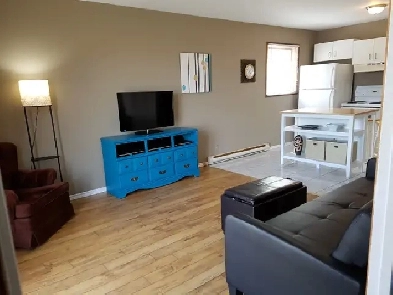 Student Couples Spacious Main Flr Furnished 1 Bdrm - Near Algoma Image# 6