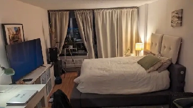 Montreal apartment for rent December 2025-January 2026 Image# 4