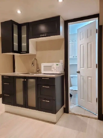 Newly renovated Basement Batchelor for rent. Image# 1