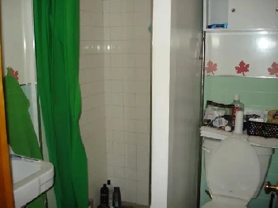 Apartment to rent Image# 5