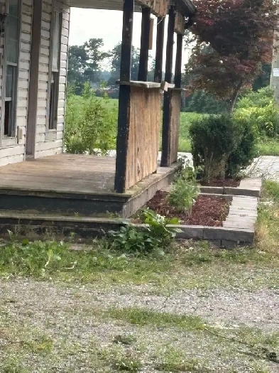 3 bedroom apartment for rent Image# 2