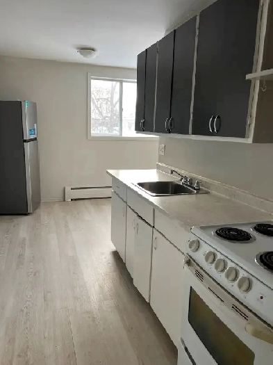 Apartment for rent Image# 1