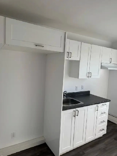 Beau appartement de 3–1/2 à louer: 514-377-8037 Image# 1