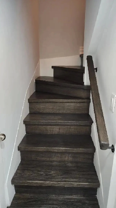 Room for rent in shared basement Image# 1