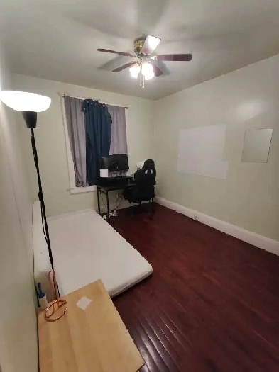 Room for Rent Image# 1
