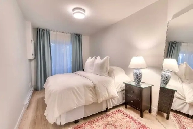 4½ entièrement rénové à louer dans Rosemont Image# 1