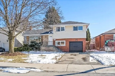 2 Bedroom Basement for rent - Near Mohawk College - Hamilton Image# 1