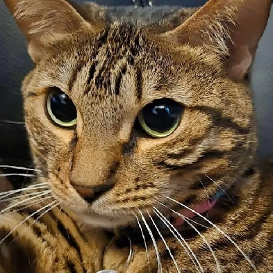 looking for someone to team up with Image# 1