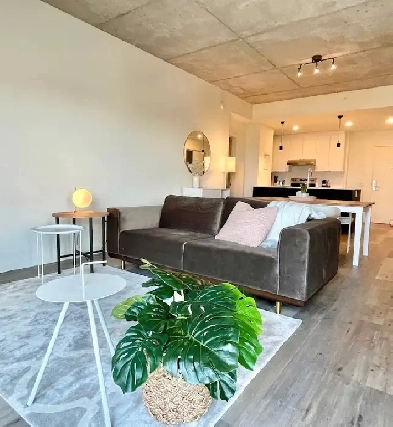 CONDO MEUBLÉ! TOUT INCLUS! WIFI, HYDRO, STATIONNEMENT CHAUFFÉ Image# 6