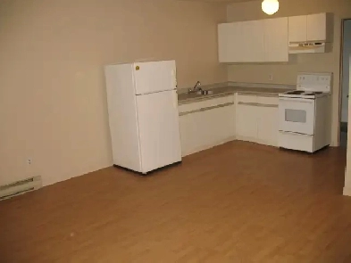 Bright and Spacious 1 Bedroom Apartment, Downtown Kingston Image# 2