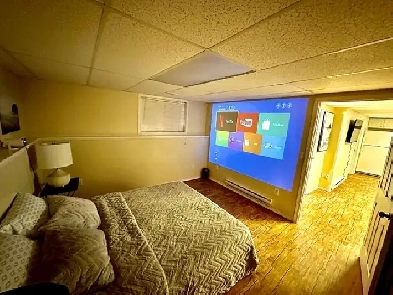 Basement suit for rent Image# 1